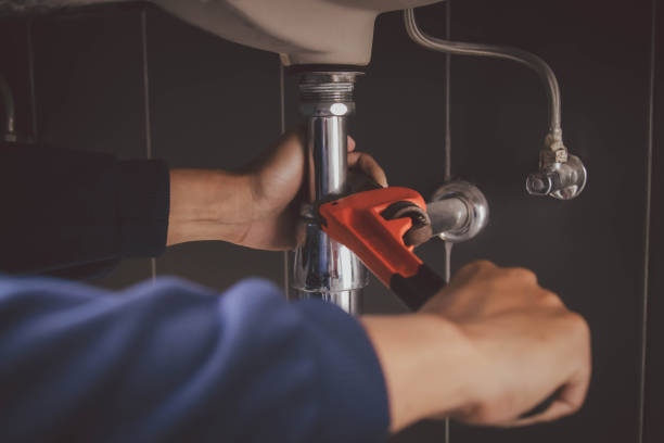 Best Local Plumber Services  in Milton, WI